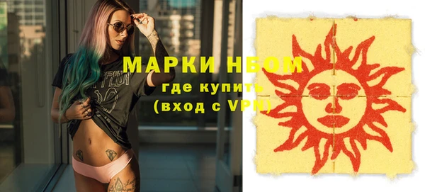 дурь Ельня