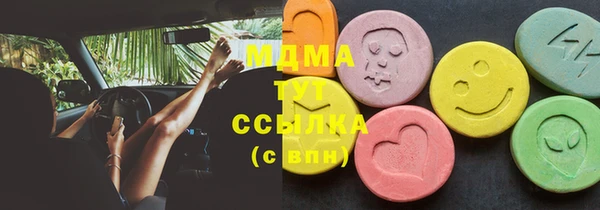 дурь Ельня