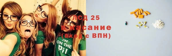 дурь Ельня