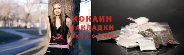дурь Ельня