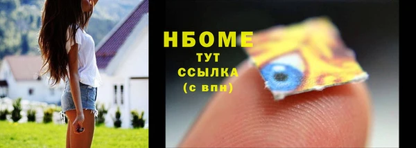 дурь Ельня