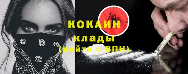 дурь Ельня