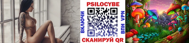 Купить закладки  Кстово  Галлюциногенные грибы Magic Shrooms 