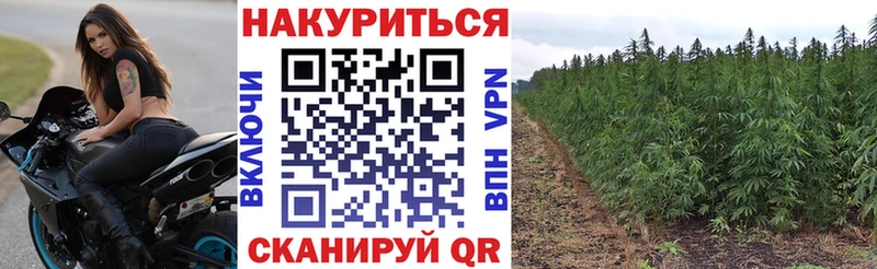 Канабис ГИДРОПОН  Купить  Кстово 